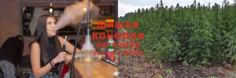 Шишки марихуана SATIVA & INDICA  где продают   Беслан 